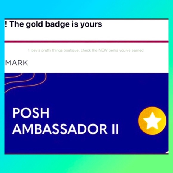 POSH Ambassador 2 - Picture 1 of 1